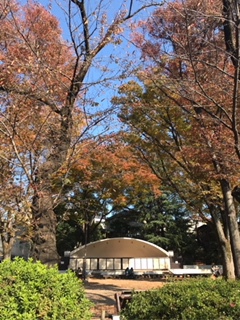 photo: ダミー