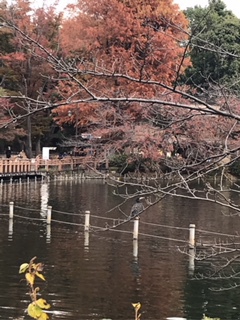 photo: ダミー
