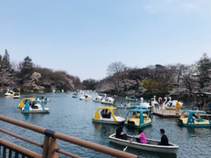 photo: ダミー